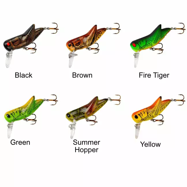 Rebel Crickhopper Grasshopper